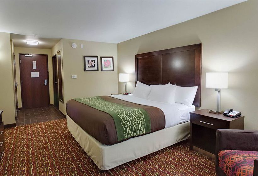 Hotel Comfort Inn & Suites Artesia  | Artesia | New Mexico | United States 14