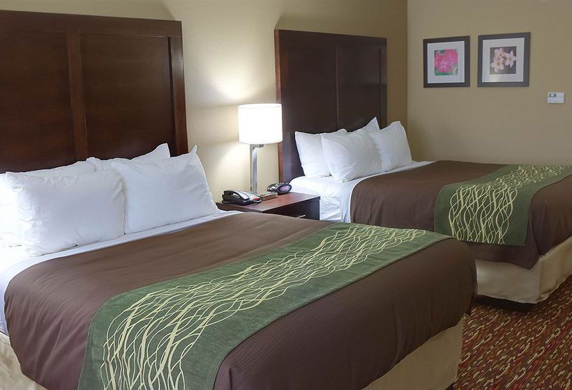 Hotel Comfort Inn & Suites Artesia  | Artesia | New Mexico | United States 17