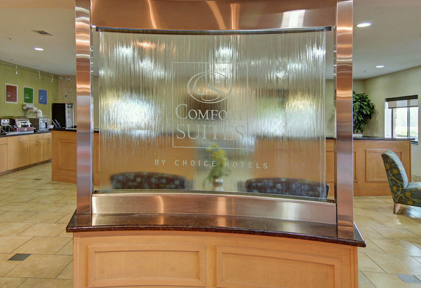 Hotel Comfort Suites Lindale  | Lindale | Texas | United States 11