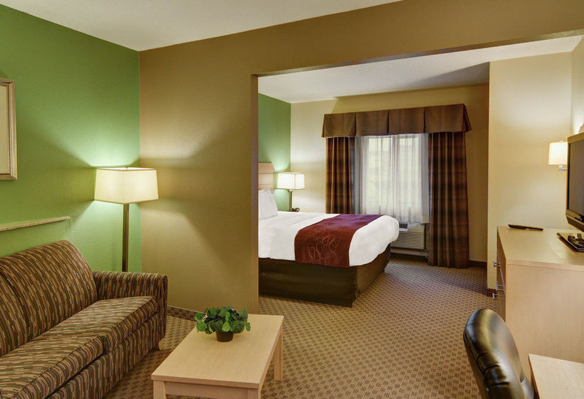 Hotel Comfort Suites Lindale  | Lindale | Texas | United States 18