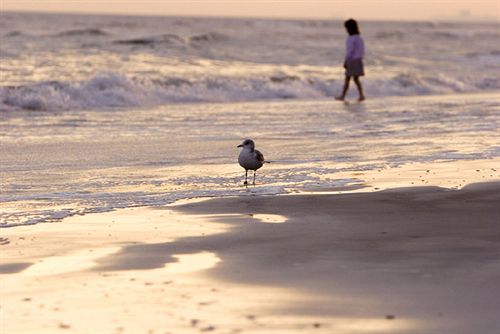 Dye Villas At Myrtle Beach  | North Myrtle Beach | South Carolina | United States 13