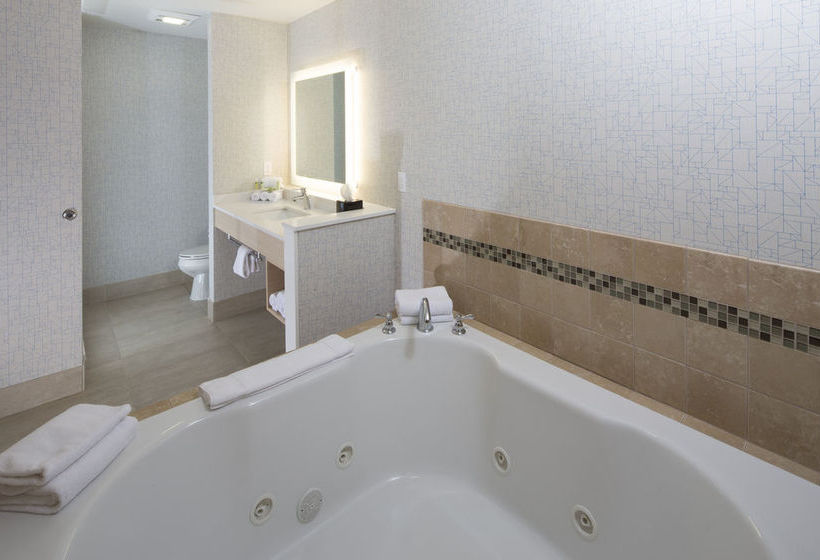 Hotel Holiday Inn Express & Suites Monroe  | Monroe | Michigan | United States 18