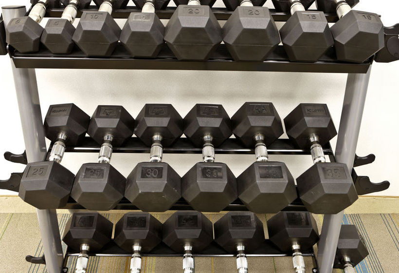 Hotel Holiday Inn Express & Suites Monroe  | Monroe | Michigan | United States 7