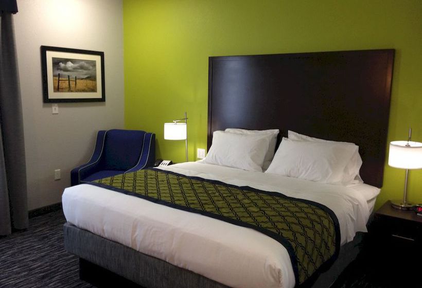 Hotel Hawthorn Suites By Wyndham Midland