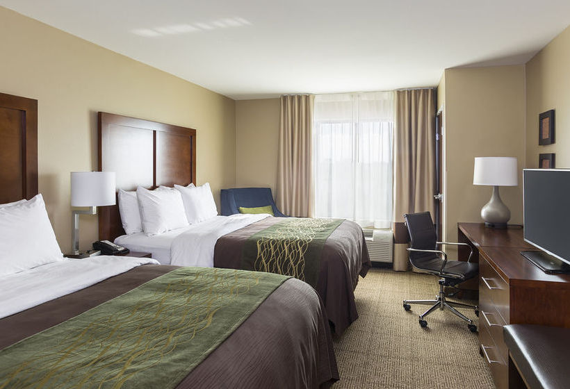 Hotel Comfort Inn And Suites Rochester