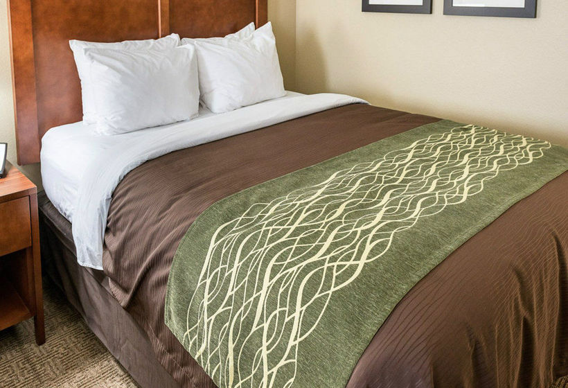 Hotel Comfort Inn And Suites  | Rochester | Minnesota | United States 18