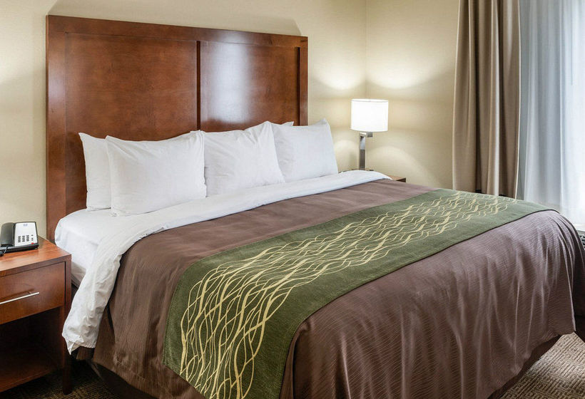 Hotel Comfort Inn And Suites  | Rochester | Minnesota | United States 19