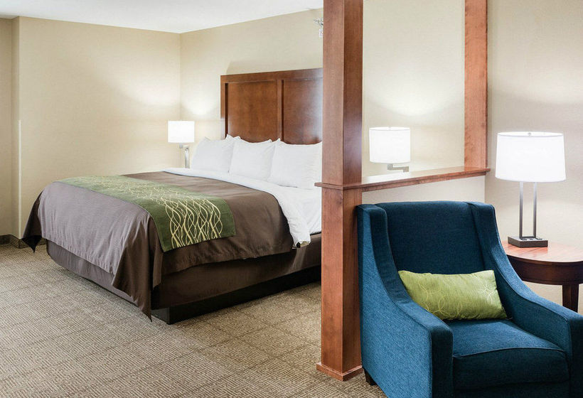Hotel Comfort Inn And Suites  | Rochester | Minnesota | United States 20