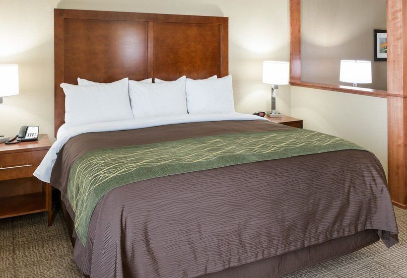 Hotel Comfort Inn And Suites  | Rochester | Minnesota | United States 7