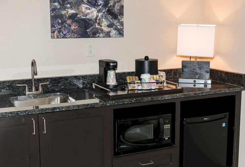 Hotel Holiday Inn Owensboro Riverfront  | Owensboro | Kentucky | United States 3