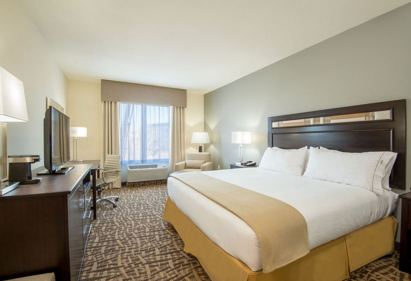 Hotel Holiday Inn Express & Suites Castle Rock  | Castle Rock | Colorado | United States 10