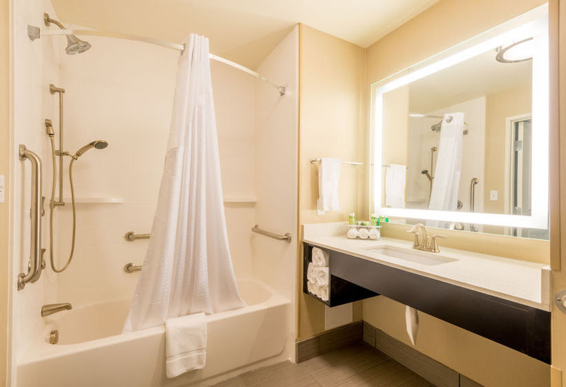 Hotel Holiday Inn Express & Suites Castle Rock  | Castle Rock | Colorado | United States 11