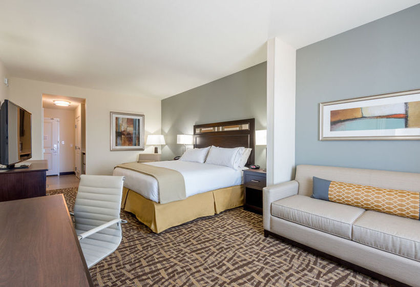 Hotel Holiday Inn Express & Suites Castle Rock  | Castle Rock | Colorado | United States 12