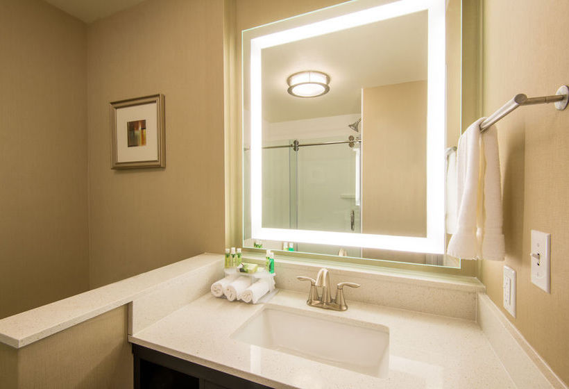 Hotel Holiday Inn Express & Suites Castle Rock  | Castle Rock | Colorado | United States 13