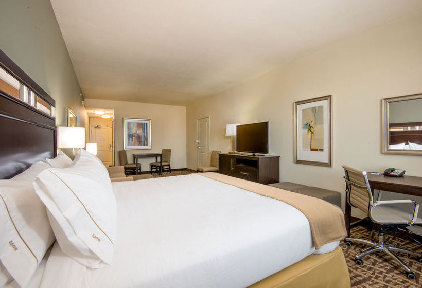 Hotel Holiday Inn Express & Suites Castle Rock  | Castle Rock | Colorado | United States 15