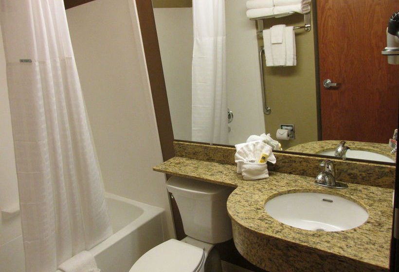 Microtel Inn & Suites Midland