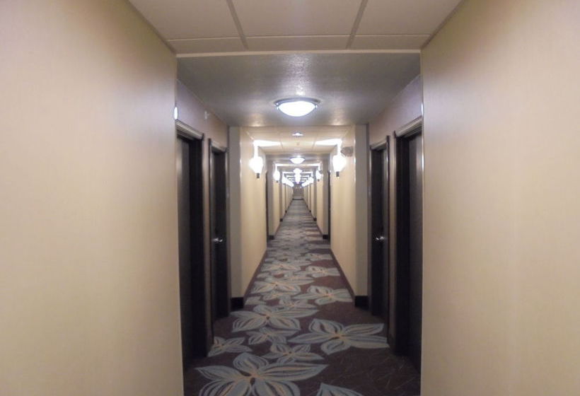 Hotel Holiday Inn Express & Suites Nevada  | Nevada | Missouri | United States 15