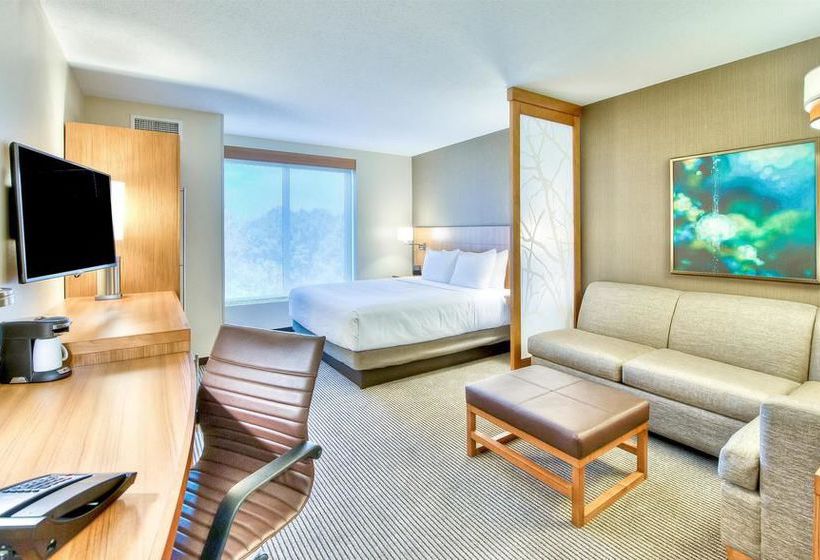 Hotel Hyatt Place Durham / Southpoint  | Durham | North Carolina | United States 19