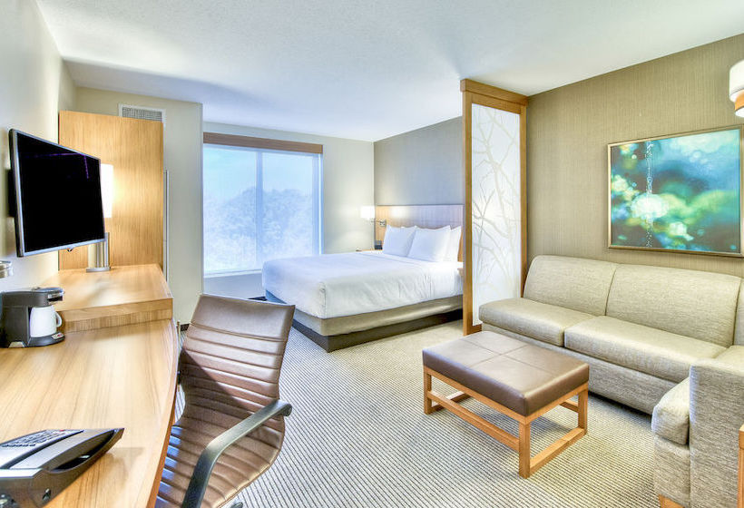 Hotel Hyatt Place Durham / Southpoint  | Durham | North Carolina | United States 8