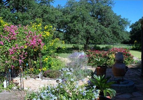 Hotel Chantilly Lace Country Inn  | Johnson City | Texas | Hotel negli Stati Uniti 3