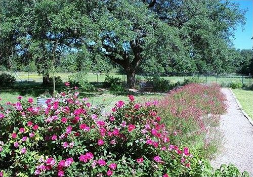 Hotel Chantilly Lace Country Inn  | Johnson City | Texas | Hotel negli Stati Uniti 7