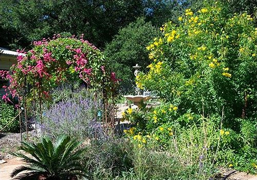 Hotel Chantilly Lace Country Inn  | Johnson City | Texas | Hotel negli Stati Uniti 8