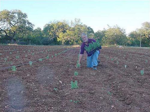 Hotel Chantilly Lace Country Inn  | Johnson City | Texas | Hotel negli Stati Uniti 9