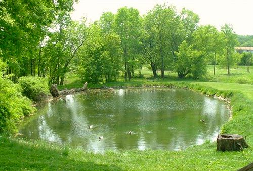 Rainbow Ridge Farms Bed And Breakfast  | Onalaska | Wisconsin | United States 14