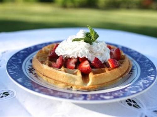 Chestnut Hill Bed & Breakfast  | Orange | Virginia | United States 1