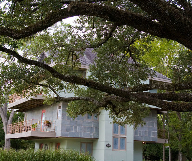 Bed and Breakfast Abigaile's Treehouse  | Bryan | Texas | United States 3