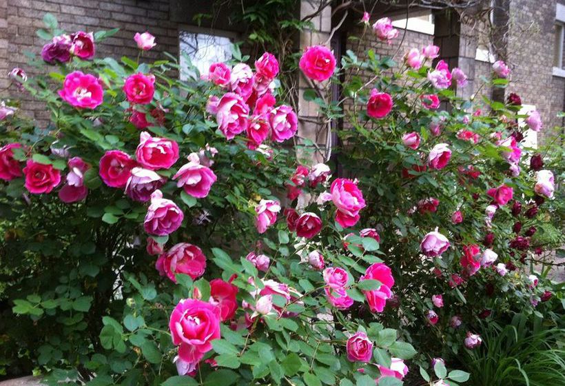 Bed and Breakfast Brass Pineapple Inn  | Charleston | West Virginia | United States 10