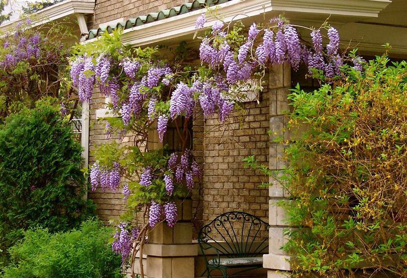 Bed and Breakfast Brass Pineapple Inn  | Charleston | West Virginia | United States 7