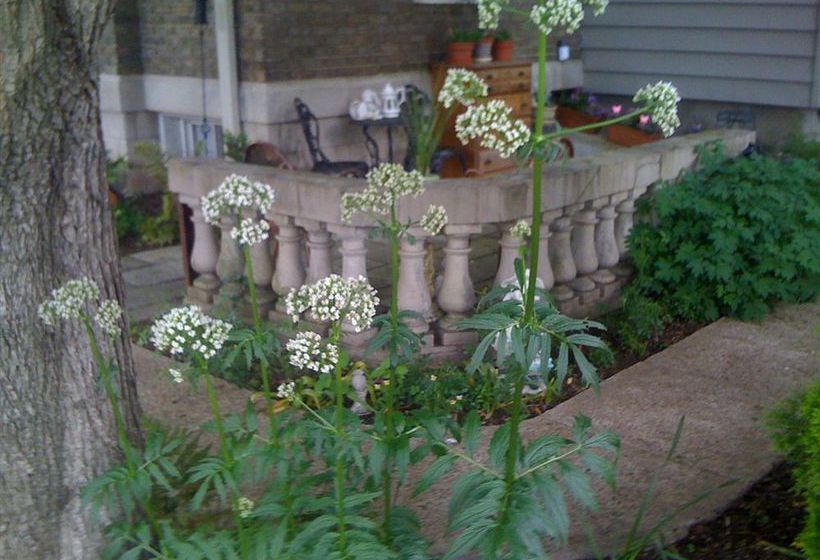 Bed and Breakfast Brass Pineapple Inn  | Charleston | West Virginia | United States 8