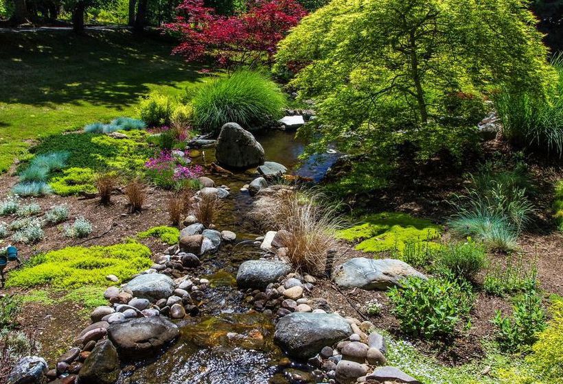 Bed and Breakfast The Willows 