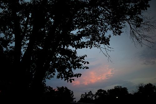 Bed and Breakfast The Hale House Inn  | Jefferson | Texas | United States 10