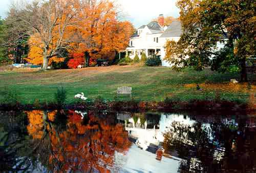 Bed and Breakfast The Inn On The Horse Farm 