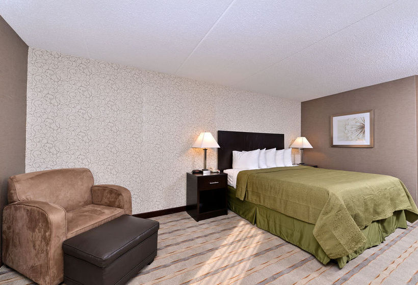 Hotel Quality Inn & Suites Matteson  | Matteson | Illinois | United States 3