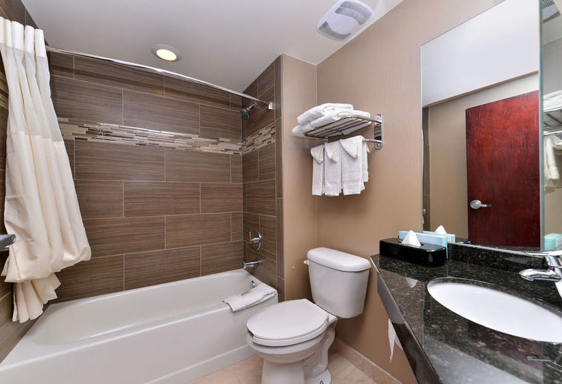 Hotel Quality Inn & Suites Matteson  | Matteson | Illinois | United States 5