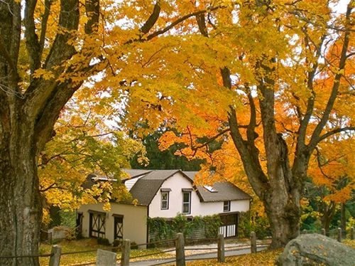 Whistler's Inn Bed & Breakfast  | Lenox | Massachusetts | Hotel negli Stati Uniti 2