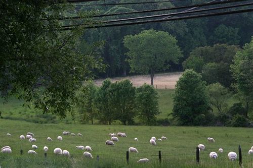 Bed and Breakfast The Columbia Inn At Peralynna  | Columbia | Maryland | United States 2