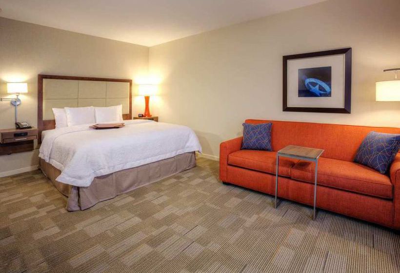 Hotel Hampton Inn & Suites Dallas Plano East  | Plano | Texas | United States 7