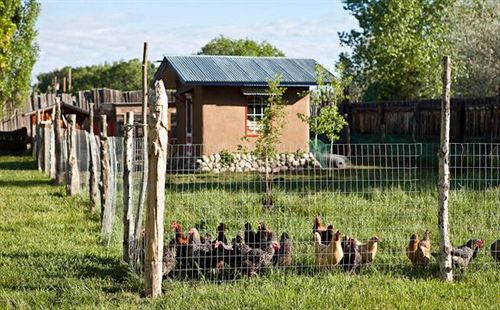 Bed and Breakfast Casa Gallina  | Taos | New Mexico | United States 6