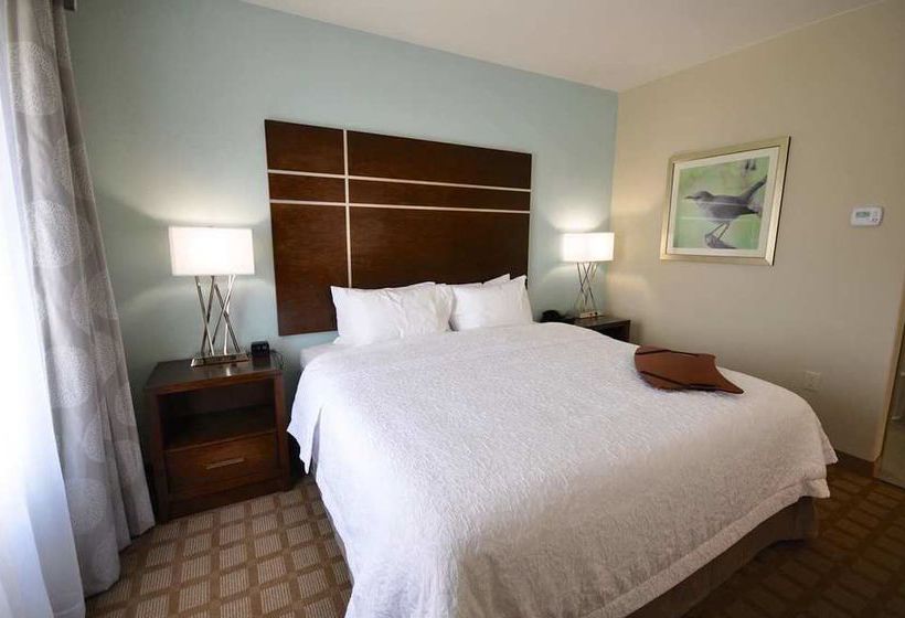 Hotel Hampton Inn & Suites Hutto 