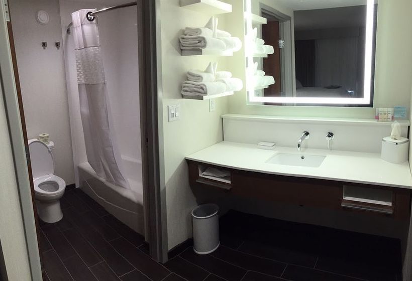 Hotel Hampton Inn & Suites Knoxville Papermill Drive 