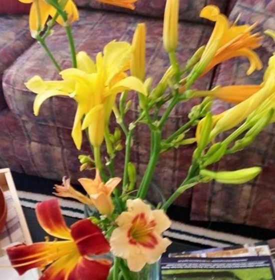 Bed and Breakfast Ring Dove Inn  | Baker City | Oregon | United States 12