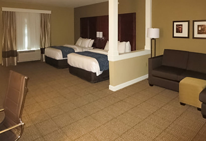 Hotel Comfort Suites Dodge City  | Dodge City | Kansas | United States 3