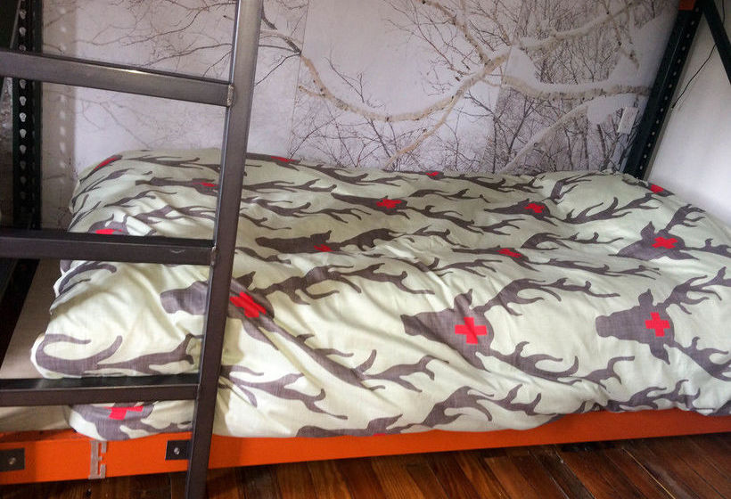 Hostel Fish  | Denver | Colorado | Hotel negli Stati Uniti 7