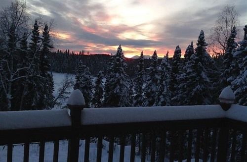 Bed and Breakfast A Mooseberry Inn  | Willow | Alaska | United States 6