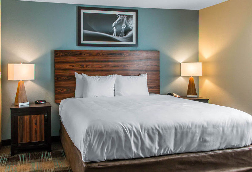 Hôtel Mainstay Suites Cotulla  | Cotulla | Texas | Hôtels aux États-Unis 10