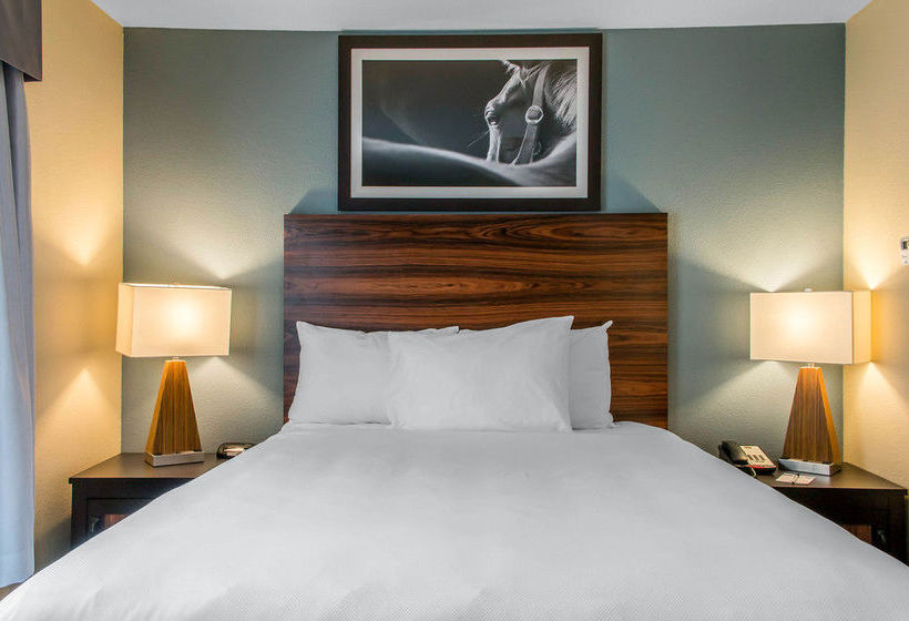 Hôtel Mainstay Suites Cotulla  | Cotulla | Texas | Hôtels aux États-Unis 13